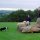 Dog trials at Hokonui