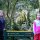 Dolamore park walking tracks