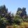 Gardens at Hokonui