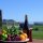Hokonui Happy Hour