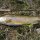 Mataura River Trout
